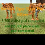 Survive Tiger Tiger the killers