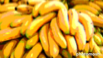 Banana reunion group