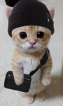 job스튜디오