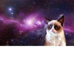galaxy cat group yay