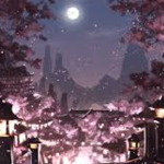 Where the cherry blossoms bloom.