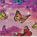 Butterflies squad and pink squad