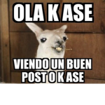 memeros lcb