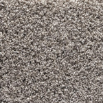 Carpet Enjoyers