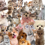 Team puppy’s!!!!!!!!!!!!