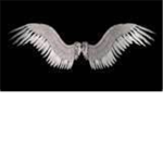 Robloxia wings