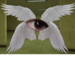 FOLLOWERS OF THE EYE