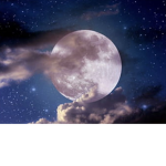 The moonlight palace