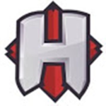 La team HAMID THE GAMER