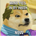 ♥Doge Fan Club♥