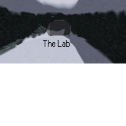 The Lab