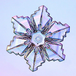 Cryogenical Studios