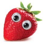 ~StrawberryCamp~