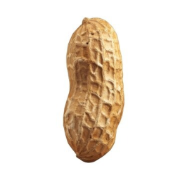 penut