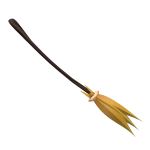 Pumpkina's Broom