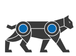 Determinant AI