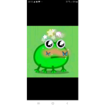 Frogs Nicole