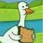 skelly's fan group