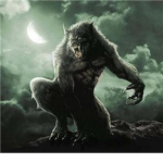 The Werewolf/ Vampire Fans