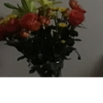 The flower baby’s for life