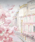 Aesthetic nisa group