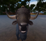 Rosebush Rp Sessions