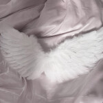 ˖ ˚ ⋅* ۶ৎ ༘*˖