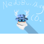 Ned Building Co.