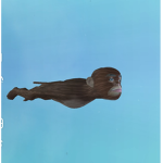 _Flying monkey_