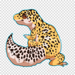 Gecko Gang For life