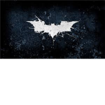 The Caped Crusaders of Gotham City