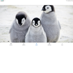 Penguin gameing