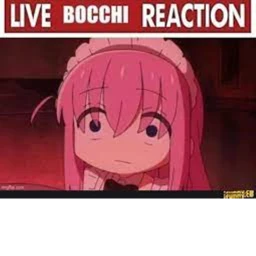 Operation: Save Bocchi icon