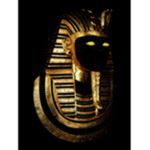 THE GOLD FAMILY :]