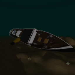The wreck of the S.S Deliciae