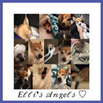 Elli’s Angels <3