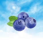 -*Blueberry Squad*-