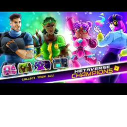 The Metaverse show
