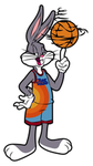The bunny basketballers