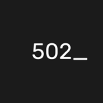 error502