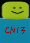 CN13