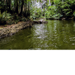 Lazy River