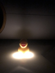 The duckling’s of the duckey kingdom