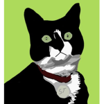 Meow Interesting Studios