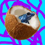 COCONUT'S FANGROUP!