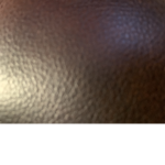 Nickotheboss12