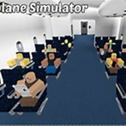 Plane Simulator