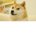 >[ Warriors; Clans Of Dusk ]<