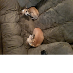 hi brotherssss :)