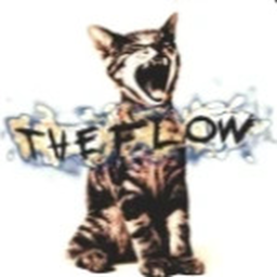 The Flow V2